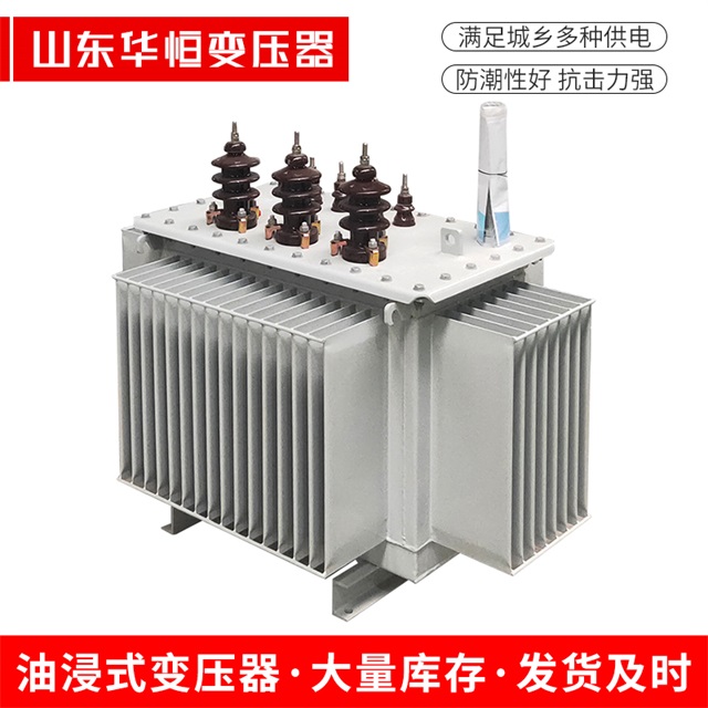 S13-10000/35福州福州福州油浸式变压器厂家