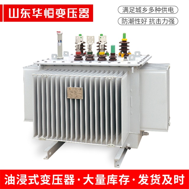 S13-10000/35福州福州福州电力变压器